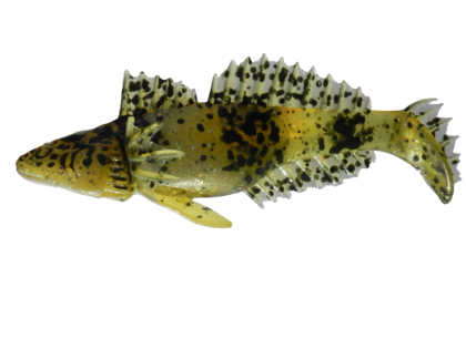 Bullhead 11 H (1 kom.)