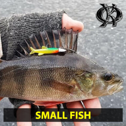 Male ribice