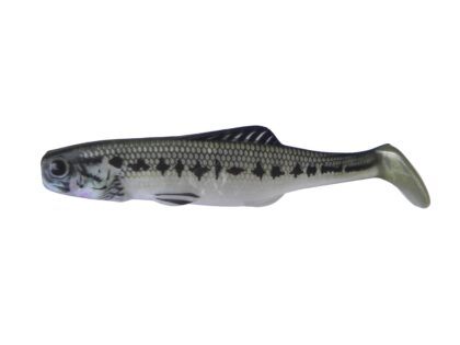 Shad 10 SMB (5 kom.)