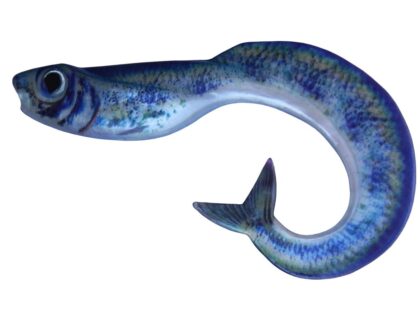 Mermaid 7 RF1 (5 kom.)