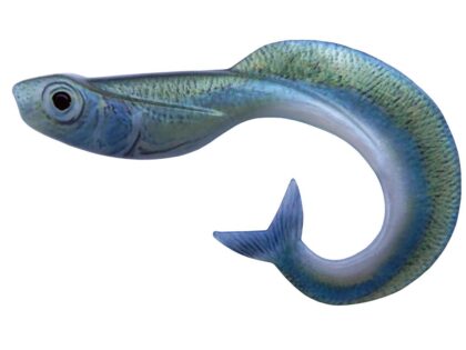 MERMAID 10 RF2 (5 kom.)